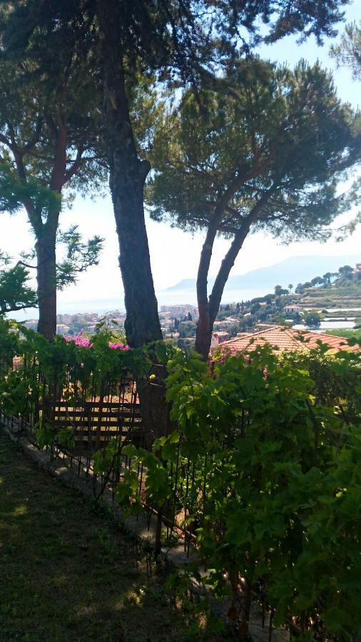 Le Gardenie Da Fil Bed & Breakfast Bordighera Exterior photo